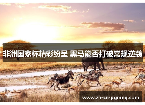 非洲国家杯精彩纷呈 黑马能否打破常规逆袭