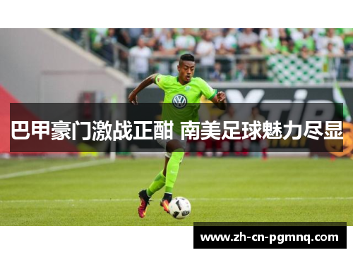 巴甲豪门激战正酣 南美足球魅力尽显 巴甲豪门激战正酣 南美足球魅力尽显