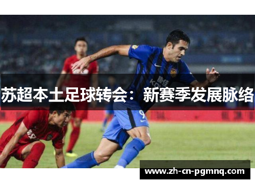 苏超本土足球转会:新赛季发展脉络 苏超本土足球转会:新赛季发展脉络