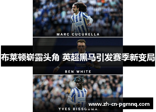 布莱顿崭露头角 英超黑马引发赛季新变局 布莱顿崭露头角 英超黑马引发赛季新变局