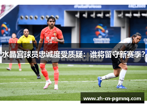 水晶宫球员忠诚度受质疑:谁将留守新赛季? 水晶宫球员忠诚度受质疑:谁将留守新赛季?